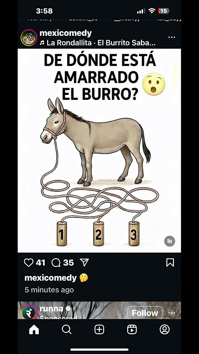 Where is the Donkey tied too? 🤔🤔🤔 #blvck #comedy #funny #fyp