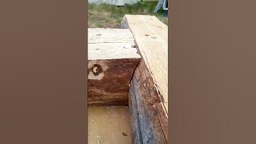 The aftermath of the house log scribing. looks pretty good!