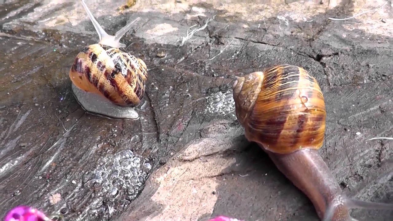 Decora tu casa barato