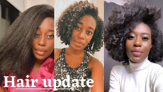 Hair update - December 2020  | Heat Damage, Hair Cut + Hair Plan