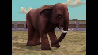 Zoo Ty 2 Asian Elephant Sounds