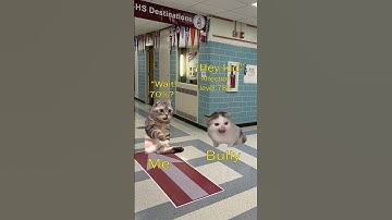 CAT MEMES 😺😺 POV:you have superpower #cat #cats #catmemes #youtubeshorts #shorts #relatable