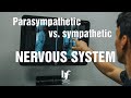 Nervous system sympathetic parasympathetic relationship explained by Gonstead chiropractor