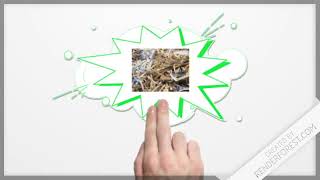 Paper Shredding Services