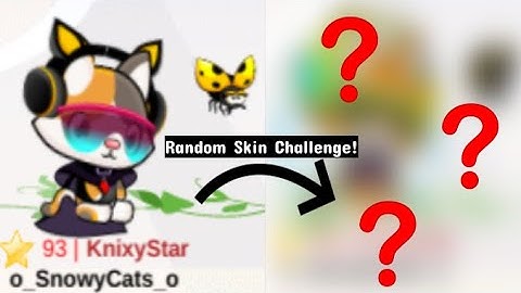 Meow Playground Random Outfit Challenge!