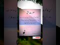 کسی کا ظرف آزمانا ہو تو |Urdu Golden Lines Qoutes of Hazrat Ali |#hazratali