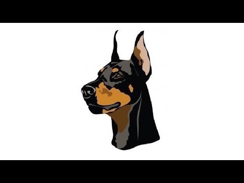 DARKY TRAP INSTRUMENTAL BEAT - O ALBERGUE Prod. Sanny Vega