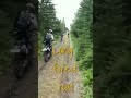 林道一直線
