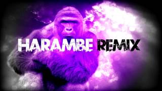 Harambe remix -