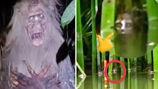 HANTU BANYU DAN GENDERUWO BERTANDUK SATU ! 7 PENAMPAKAN HANTU TERJELAS DAN SERAM YANG ADA DI DUNIA