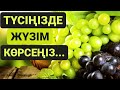 МҰСЫЛМАНША ТҮС ЖОРУ.ТҮСІҢІЗДЕ ЖҮЗІМ КӨРСЕҢІЗ...