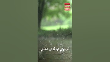 سورة الفيل - تلاوة جميلة تريح القلب 🕋✨ | استمع بخشوع