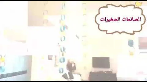 Belal Alkhatib