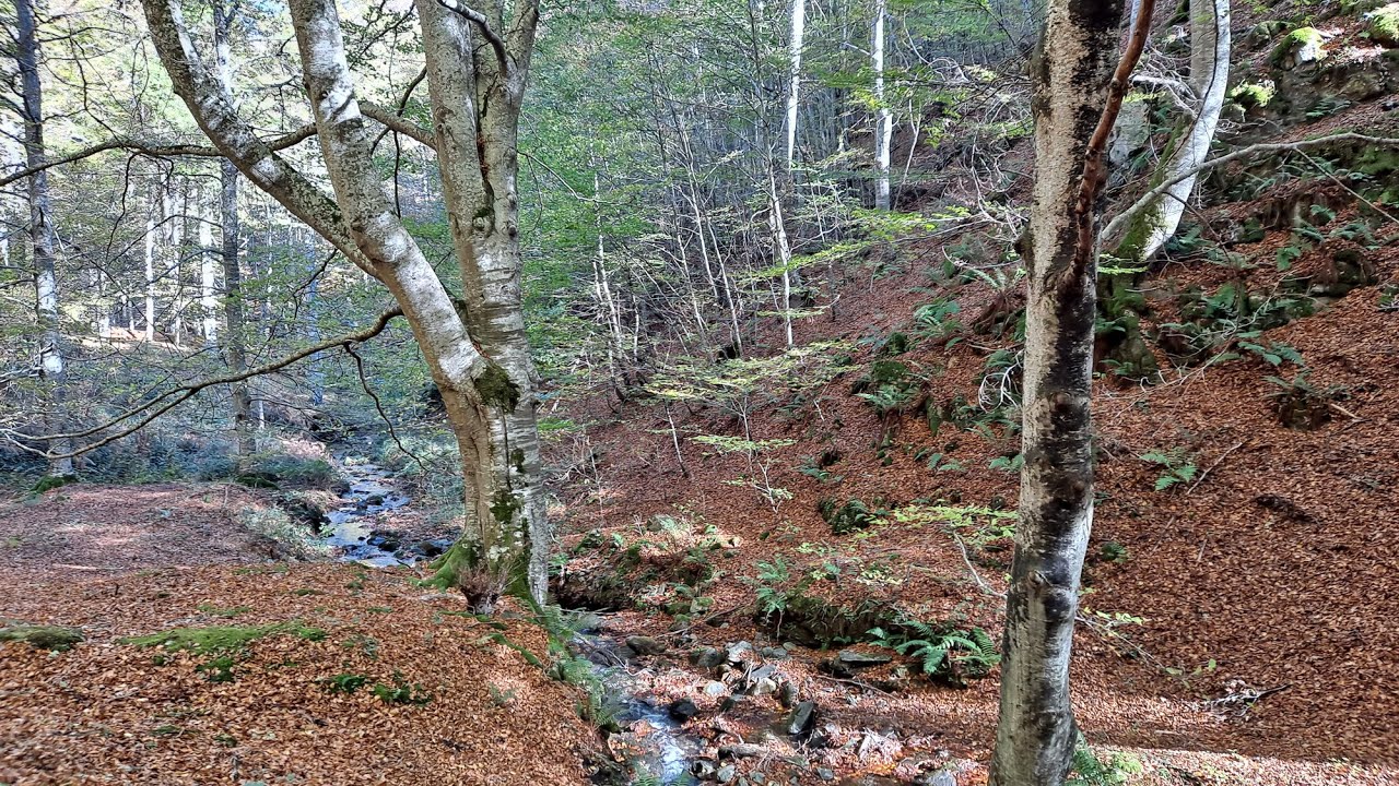 El Rajao (Tobía - La Rioja)