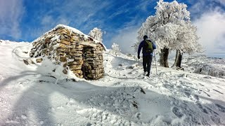 NEVADA Invernal: La Belleza del Parque Nacional Sierra de las Nieves
