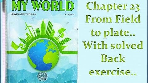 Class 5th|EVS|PSEB| Chapter 23[From Field to Plate]