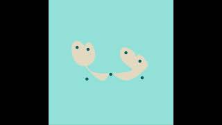 Dot Series—Freeform vector drawings