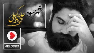 Video thumbnail of "Ali Zand Vakili - Shahre Hasoud (علی زند وکیلی - شهر حسود)"