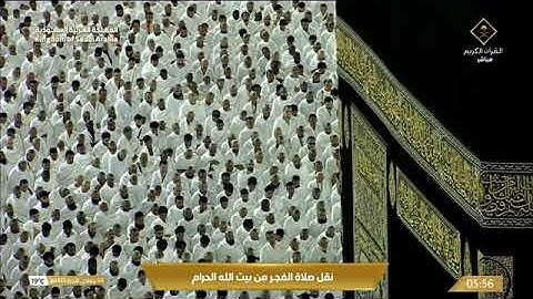 ' فواتح سورة إبراهيم ١ - ١٢ ' الشيخ #بندر_بليلة صلاة الفجر  ٤-٦-١٤٤٥ هـ