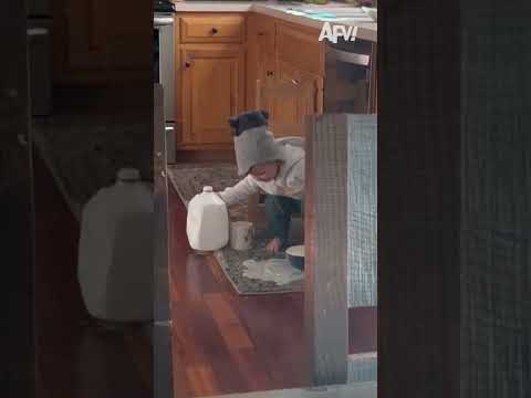 My toddler did THIS while I was on an important work call???