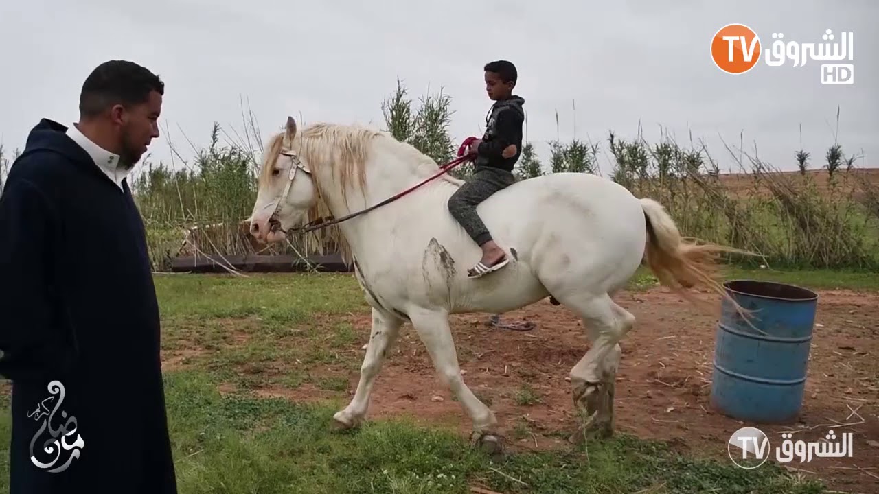 فطورنا معكم | العدد الثامن | قضاء يوم رمضاني مع دوار ولاد عبد الله قلتة سيدي سعيد بالأغواط