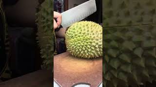 How I open the durian 😂 #shortsvideo #fruit #satisfyingfruitcutting #foryou
