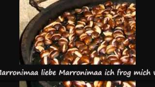 Marronimaa