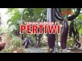 Gambar Benih Terong Ungu Hibrida PERTIWI dari benihmart.id Kota Surabaya 3 Tokopedia