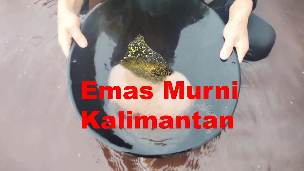 Berburu Emas Murni dengan cara Manual
