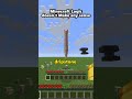 Minecraft logic doesn't make any sense at all #minecraft #shorts