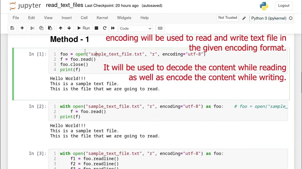 Read Text File In Python Using 
