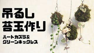 苔玉作り｜初心者でも簡単吊るしハートカズラ・グリーンネックレス