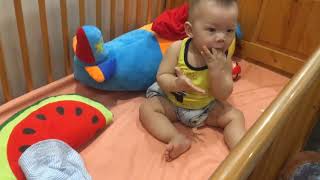 Bé Sumo Chơi Trong Cũi Sukem Tv