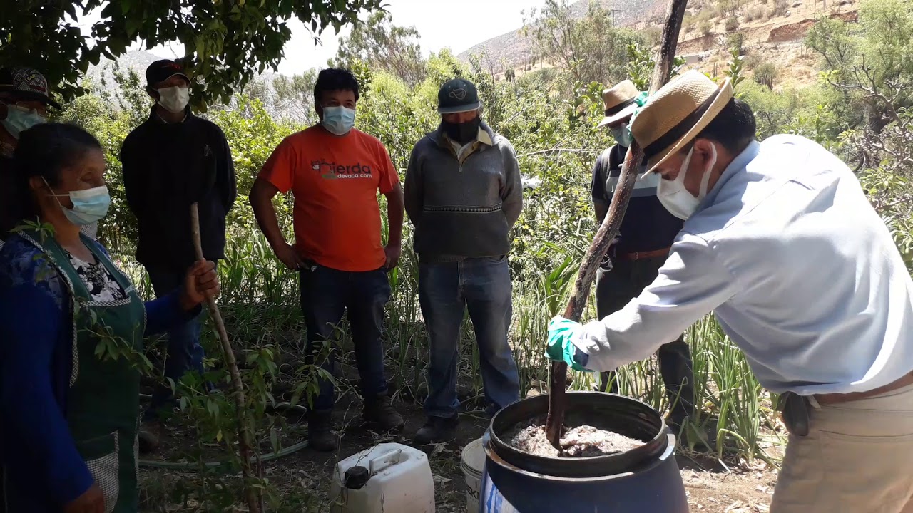 PRODUCCION DE EXTRACTO HUMICO EN BASE A GUANO