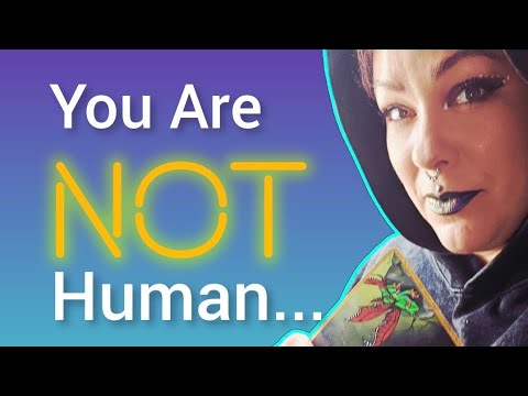 THIS MOVED ME TO TEARS🥹 You're 1 Of The HIGHEST Vibrational Beings I Have Ever Had The Honor To Read
