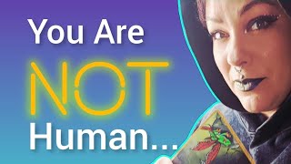 THIS MOVED ME TO TEARS🥹 You're 1 Of The HIGHEST Vibrational Beings I Have Ever Had The Honor To Read