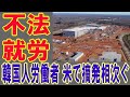 【海外の反応】 米国、韓国人を入国禁止！強制追放！ 会社ぐるみの不法就労が酷過ぎる！ 2020年8月10日