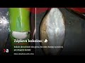Kokaín dorazil skôr ako pizza. Zo srdca Európy sa stal raj pre drogové kartely | Aktuality #n-l