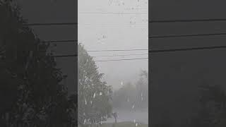 Storm has arrived, heavy rain and hail. Greeneville TN #storm #heavy rain