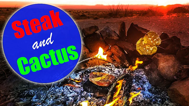 Steak and Cactus | A savage day in the life of a n...