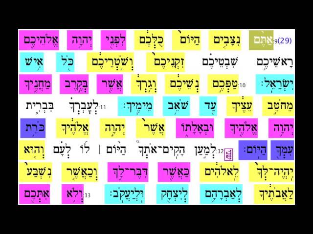 Nitzavim Vayeilech 12
