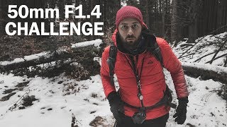 50Mm F1.4 Photo Challenge - Panoramic Photography In The Forest