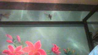 Capture 20150216 1