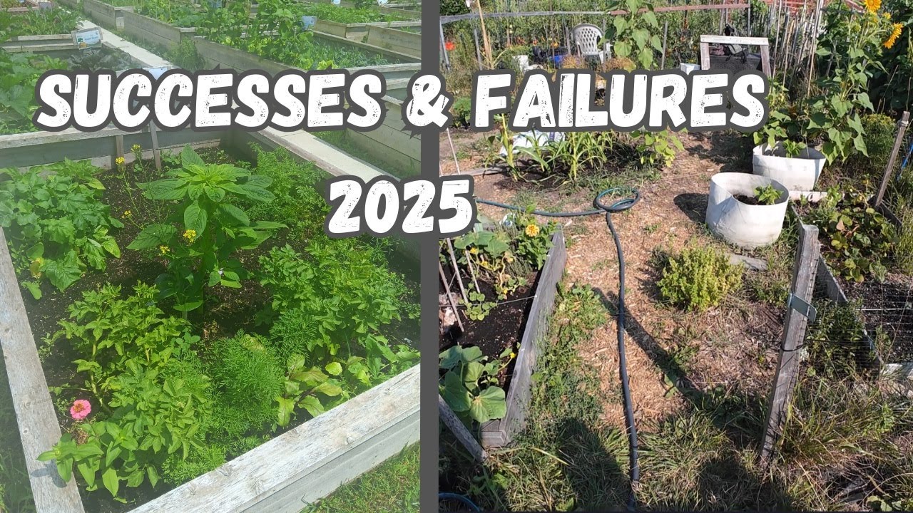 2025 Garden season in review