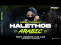 DJ PARTY ARABIC HALET HOB BASS HOREG TAUFIK VADEROS X SAE AUDIO Far Rmx Prdctn