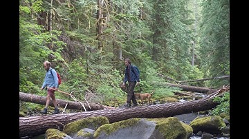 【7/17（土）より順次公開】『オールド・ジョイ』 ～特集上映「ケリー・ライカートの映画たち　漂流のアメリカ」