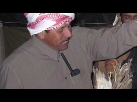 شلة مقناص الشاعر غانم بن احمد بن اسلوم الكبيسي