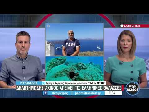 Βίντεο: Είναι οι μωβ αχινοί δηλητηριώδεις;