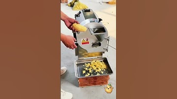 Commercial Ginger Cutter High-Efficiency Food Processing Slice • Shred • Dice with Ease#factory