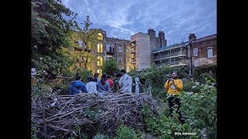 Sunset Survey - Explore your local night-time wildlife with family/friends | Stories Under Starlight